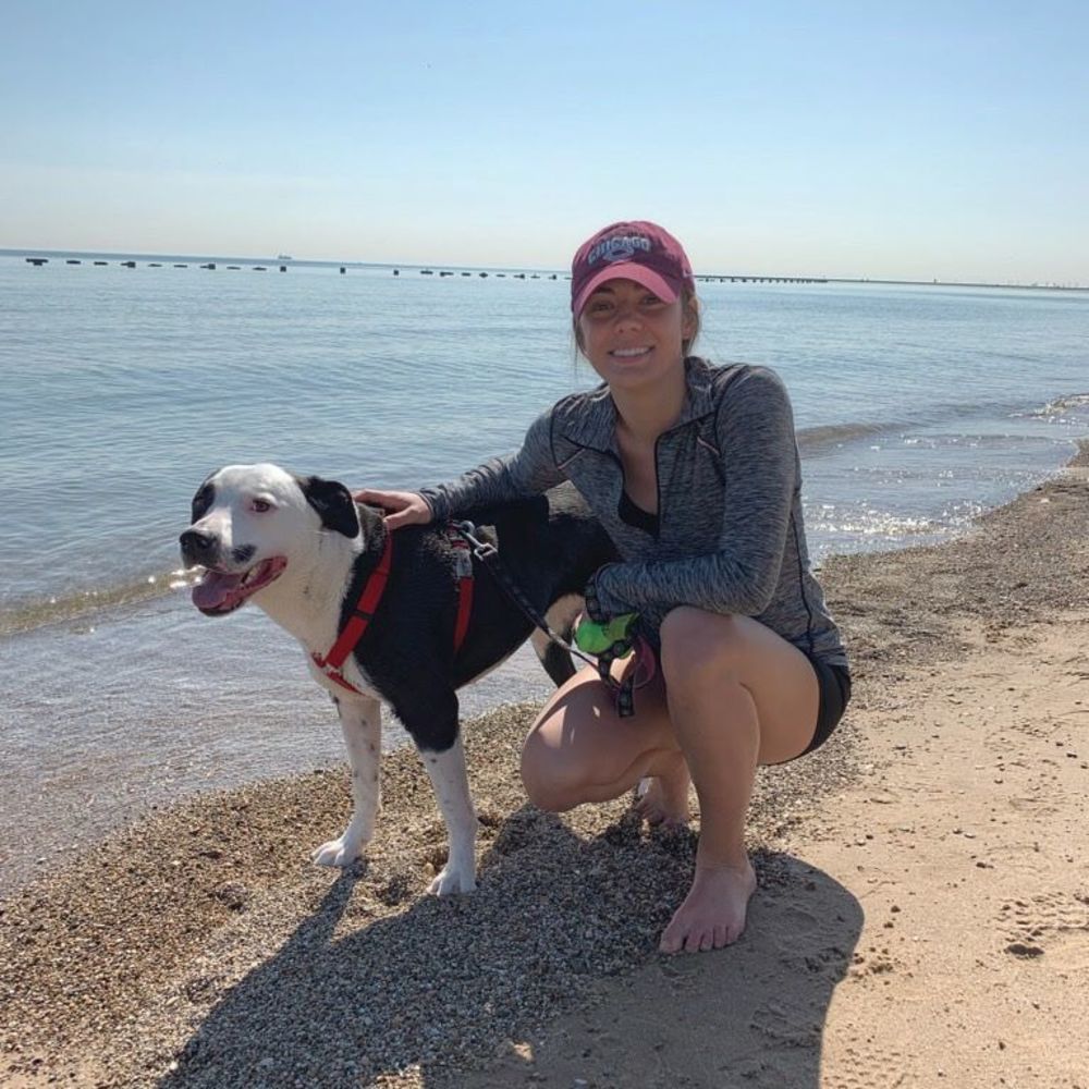 Meet your Posher, Alexa